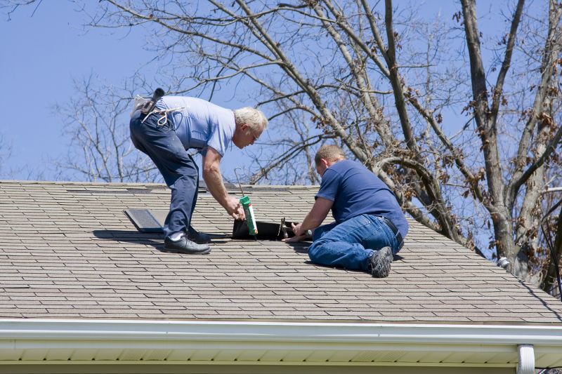 Routine Roof Checkups
